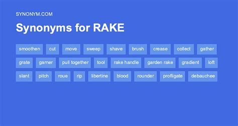 raket synonym